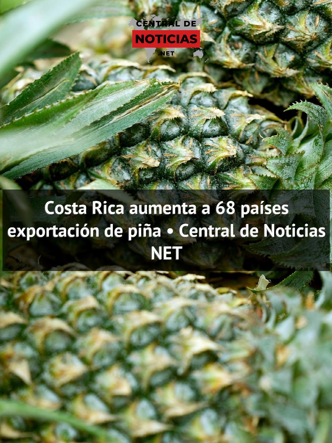 Costa Rica aumenta a 68 países exportación de piña • Central de ...