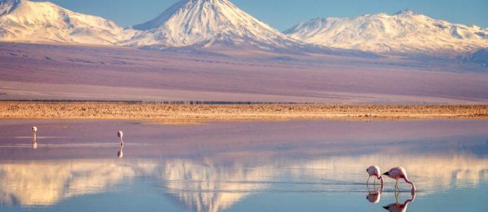 Chile destino verde