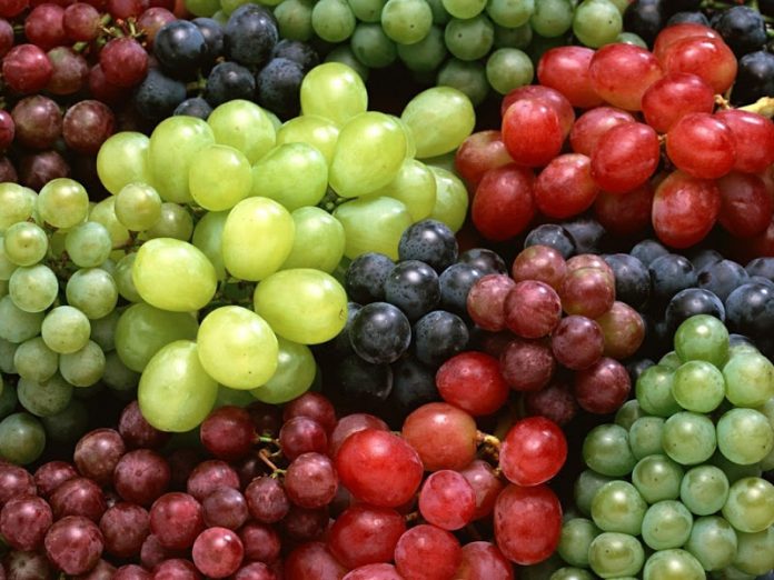 Uva chilena