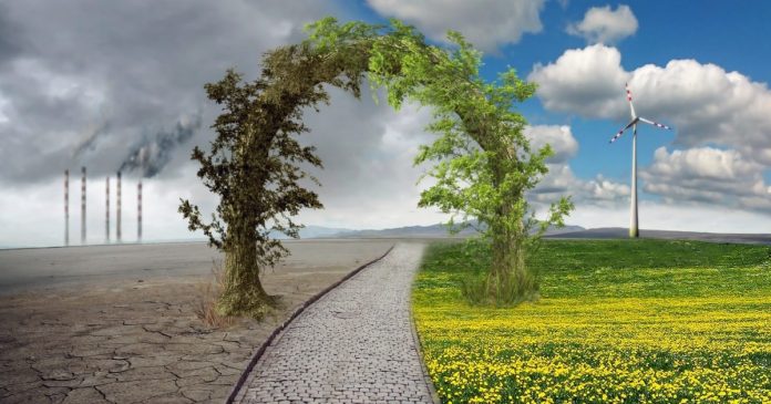 Se busca empresas resilientes