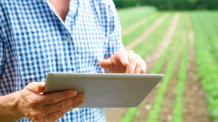 fruticultura online