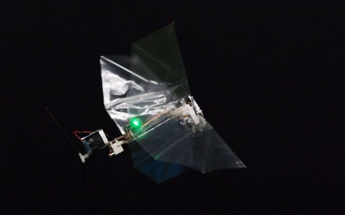Mosca robot DelFly Nimble