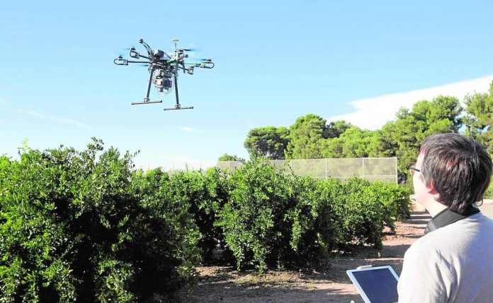 Drones y fruticultura