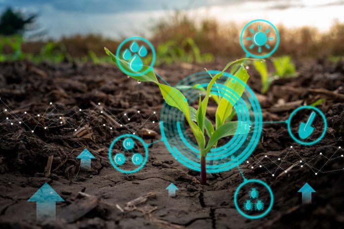 e-vento SAVI2020 Directorio Fruta