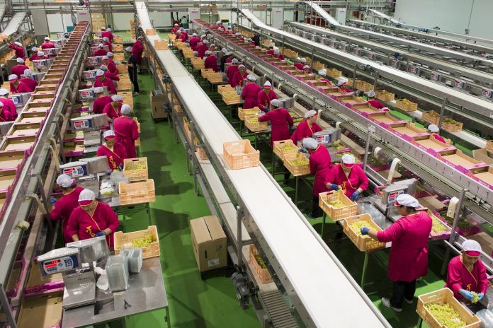 packing industria fruta