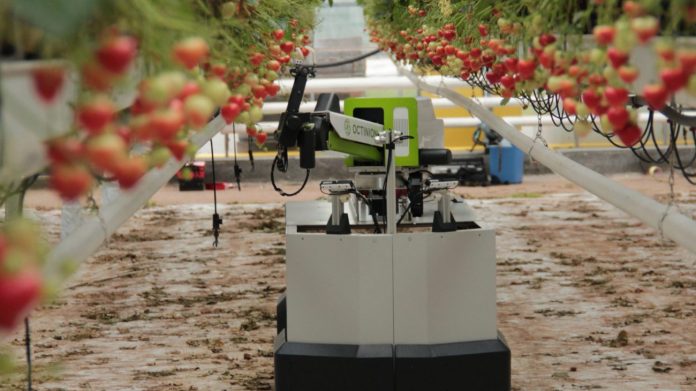 AgroTech Maule 2020 Directorio Fruta