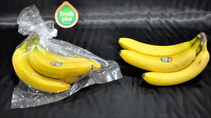 Atmósfera modificada directorio fruta
