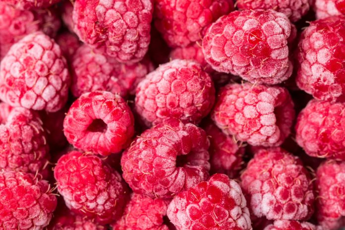 fraude Frutti di Bosco directorio fruta