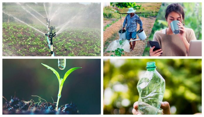 Agua Riego DirectorioFruta