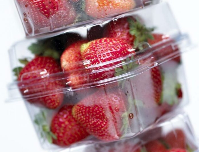 Clamshells Fruta Fresca DirectorioFruta