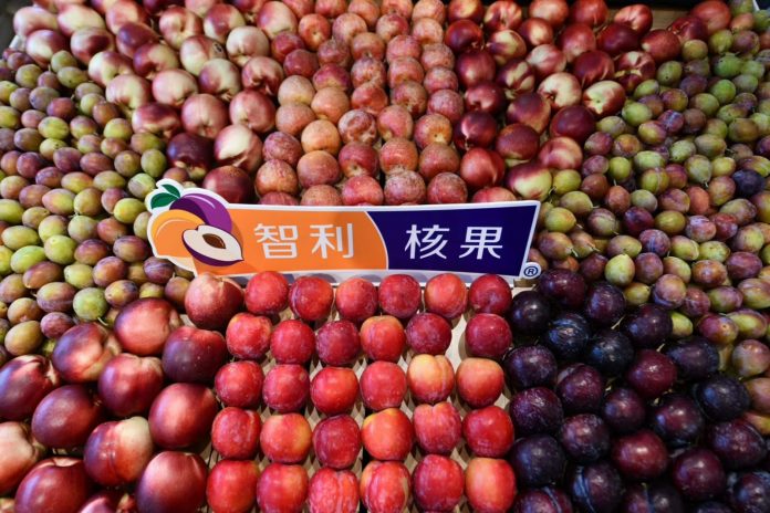 Protocolo exportación Fruta fresca a China