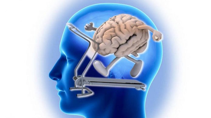 cerebro memoria empresas Chile