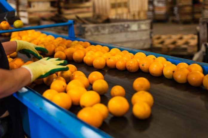 trazabilidad de la fruta directoriofruta