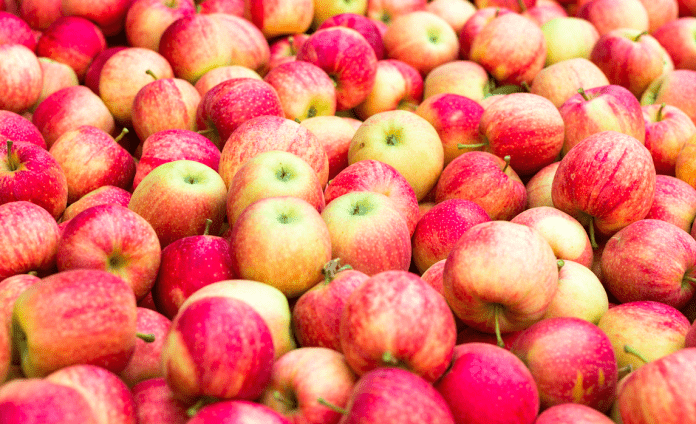 Fruta fresca Exportación DirectorioFruta.cl