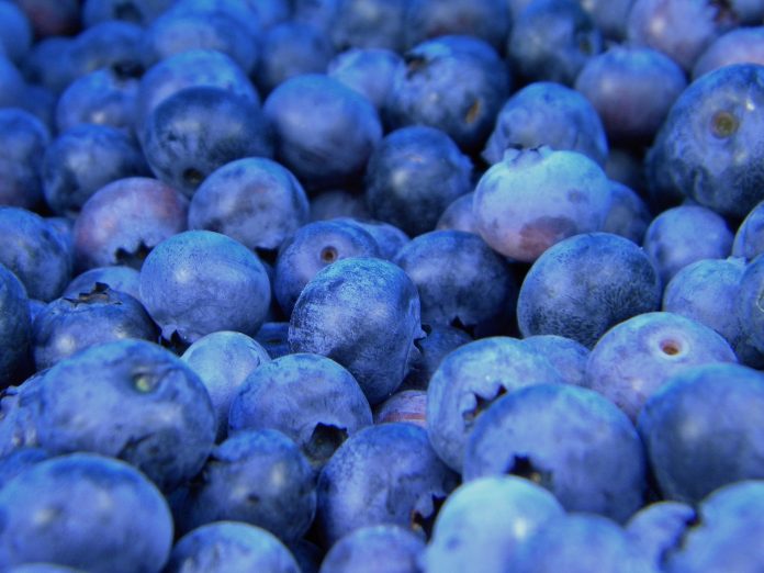 Fibra de Fruta, mercado global