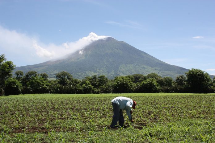 El Salvador AgroIndustria centraldenoticias.NET