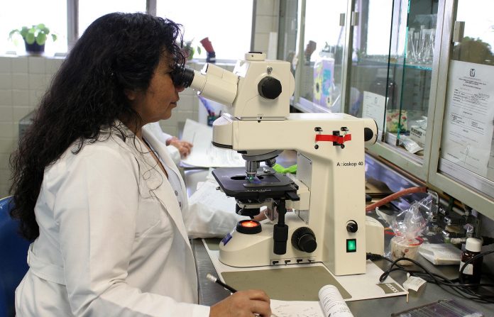 3M Mujeres Latinoamérica centraldenoticias.NET